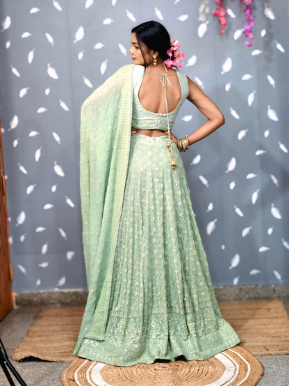 The Pistachio Chikankari Lehenga Set