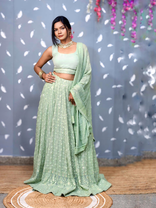 The Pistachio Chikankari Lehenga Set