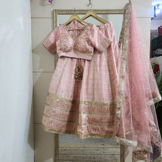 Blush Pink Designer Lehenga Blouse For Women
