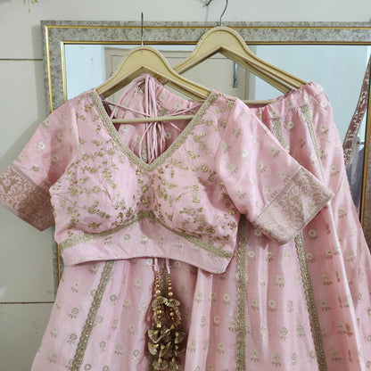 Blush Pink Designer Lehenga Blouse For Women