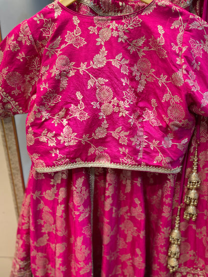 Pink dola silk lehenga choli with dupatta