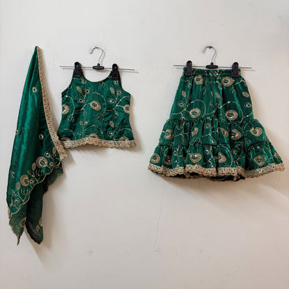 Girl Kids Green Embroidered Sharara Suit Set