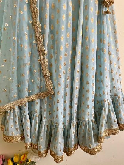 Sky Blue Sequin Embroidered Lehenga Set
