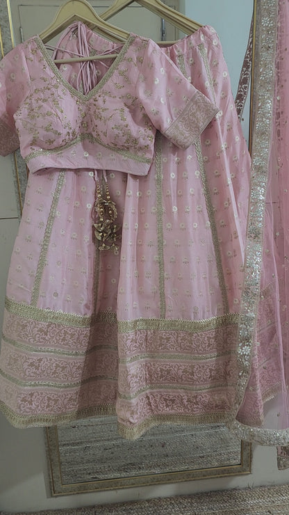 Blush Pink Designer Lehenga Blouse For Women