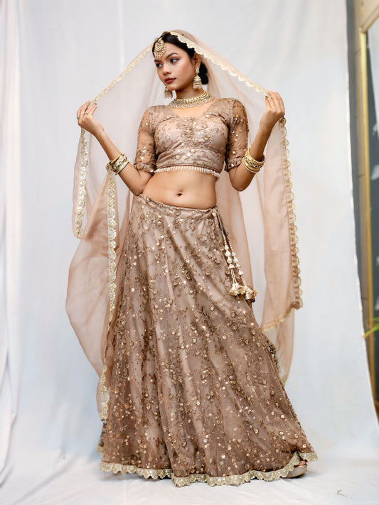 Engagement Special Lehenga Set