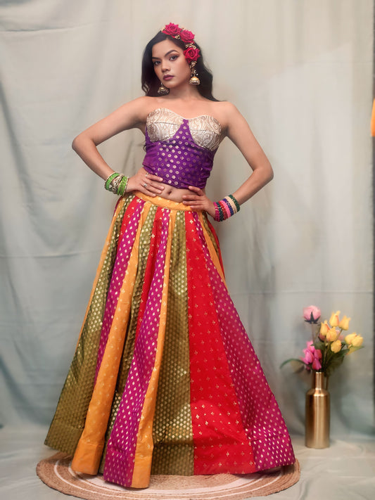 Noor Panelled Banarasi Lehenga Ensemble