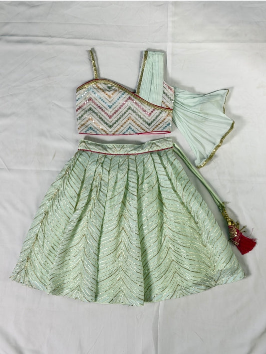 Mint Green Embellished Lehenga Set