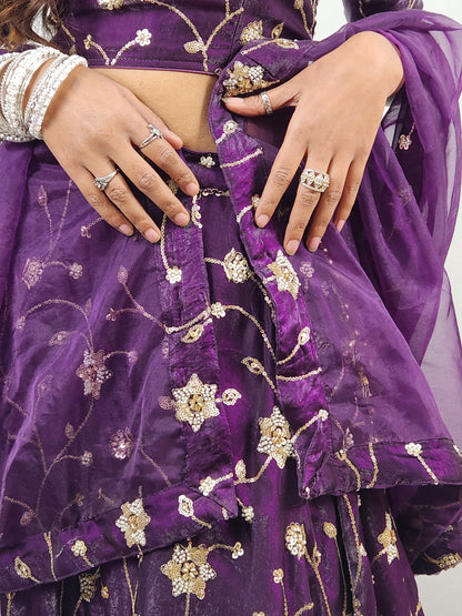 Wine Plum Embroidered Lehenga Set