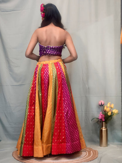 Noor Panelled Banarasi Lehenga Ensemble